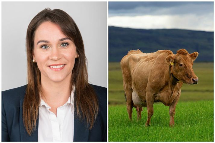 Margrét Gísladóttir segir Kaup KS á Kjarnafæði jákvætt skref í rétta átt. Stærri og burðugri rekstrareiningar bæti samkeppnishæfni innlends landbúnaðar.