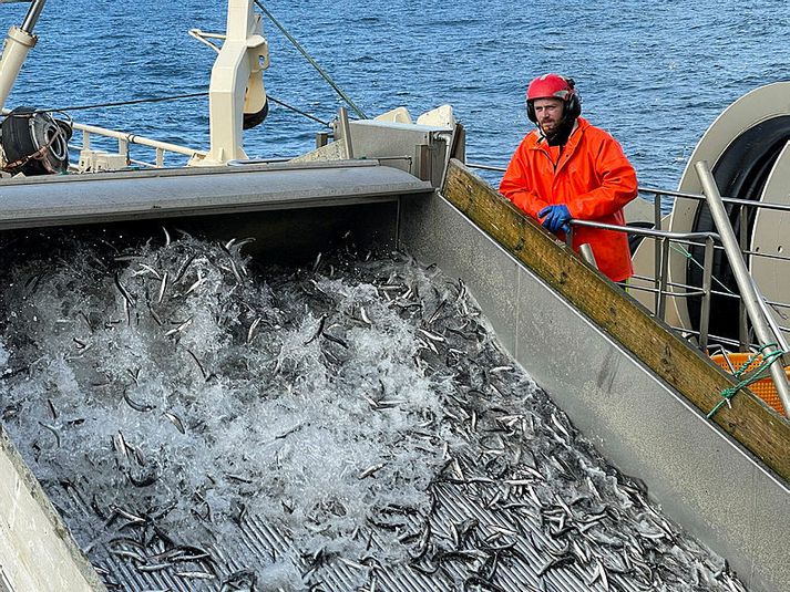 Loðnuveiðar á Íslandsmiðum. Mynd úr safni.