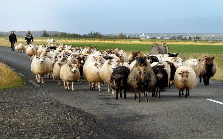 Búvörusamningarnir hafa verið ákaflega umdeildir en þeir hafa nú verið samþykktir á Alþingi.