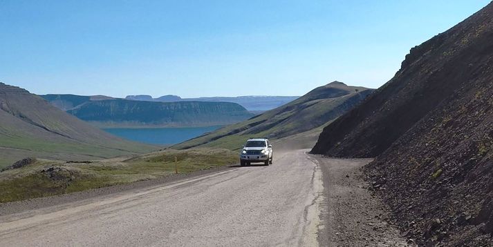 Frá Hrafnseyrarheiði. Séð til suðurs til Arnarfjarðar.