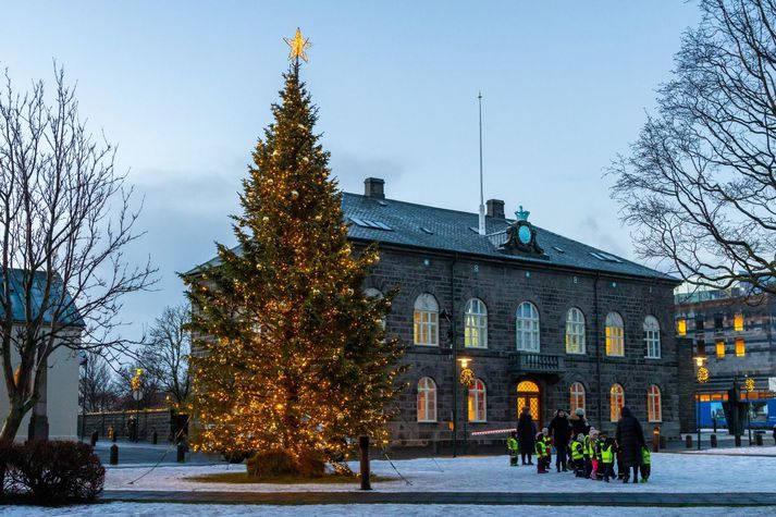 Það var ansi kalt á Íslandi í desember.