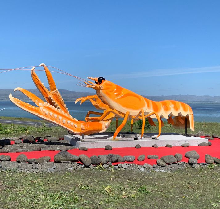 Humarinn stendur glæsilegur við veitingastaðinn Hafið bláa.