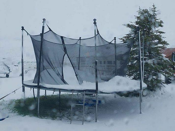 Svona var ástandið í upphafi júnímánaðar á Norðurlandi.