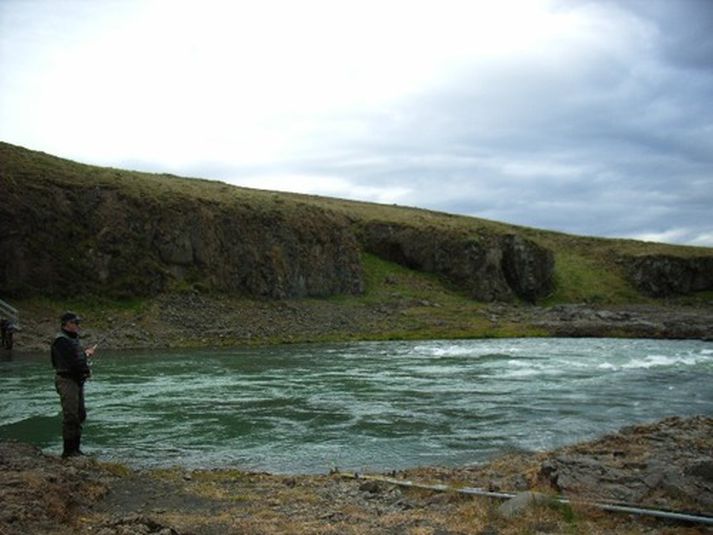 Dammurinn í Blöndu er magnaður veiðistaður