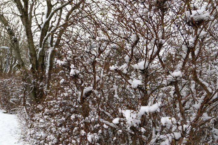 Frost á landinu verður á bilinu núll til tíu stig.