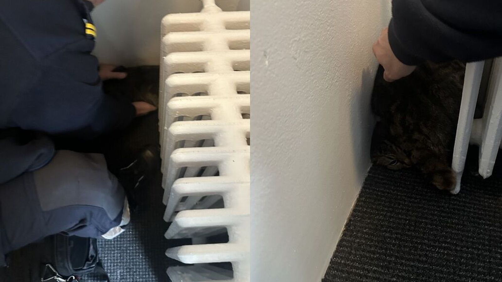 Slökkvi­lið bjargaði ketti í vanda