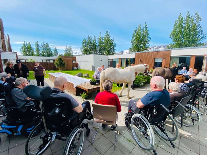 Einn starfsmanna hjúkrunarheimilisins mætti með hestana Hörpu og Baug í vel heppnaða heimsókn til íbúa Lögmannshlíðar.