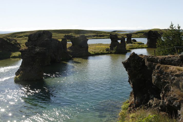 Þingmenn allra flokka eru sammála um að bjarga náttúruperlunni Mývatni. 