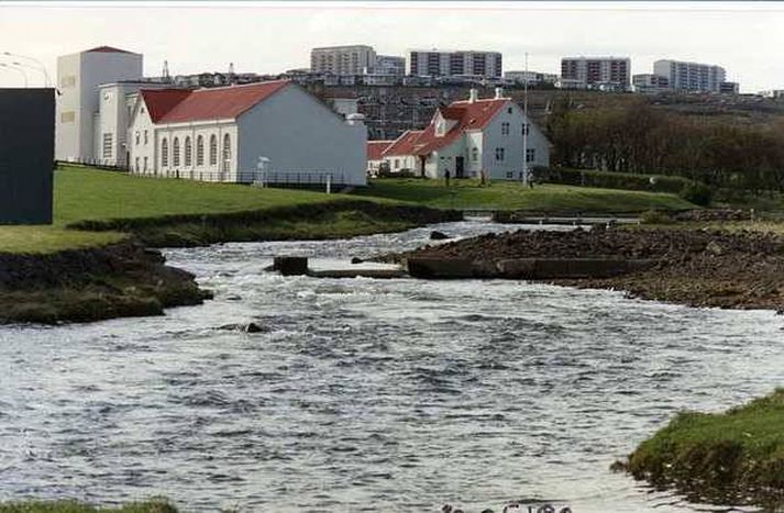 Það komast færri en vilja til veiða í Elliðaárnar