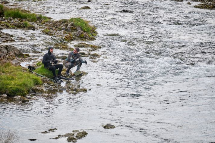 Norskir froskmenn komu til landsins, eins og frægt er orðið, til að eltast við slysasleppingar úr sjókvíaeldi. Þarna eru þeir að spá í spilin við Haukadalsá í Dalasýslu.