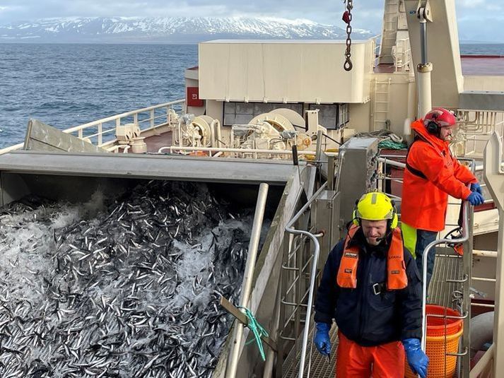 Samkvæmt nýjustu ráðgjöf Hafrannsóknarstofnunar sem kynnt var í byrjun októbermánaðar verður leyfilegt að veiða allt 218 þúsund tonn af loðnu á komandi vertíð.