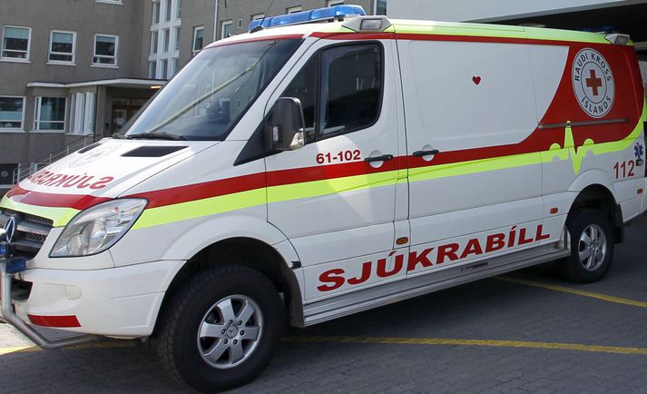 Árásarmaðurinn var í annarlegu ástandi, samkvæmt upplýsingum frá Slökkviliðinu á höfuðborgarsvæðinu.