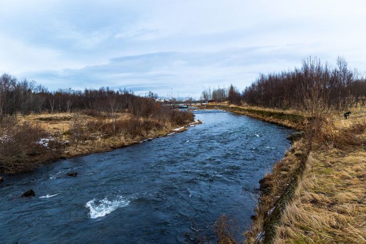 Spáð er norðan og norðaustan, fimm til þrettán metrar á sekúndu í dag.