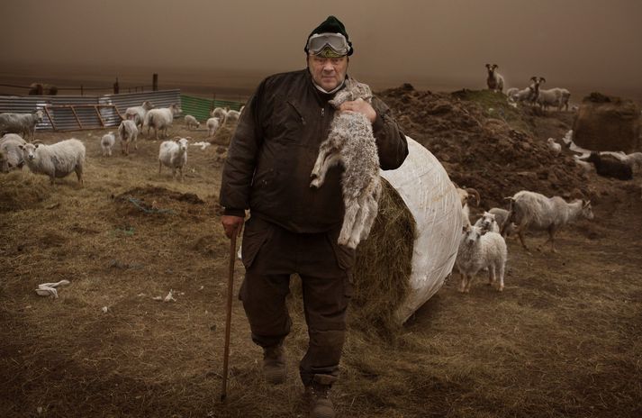 Bændur þurftu að heyra í skepnunum sínum úti en gátu ekki farið út í gosmökkinn til þess að bjarga þeim.