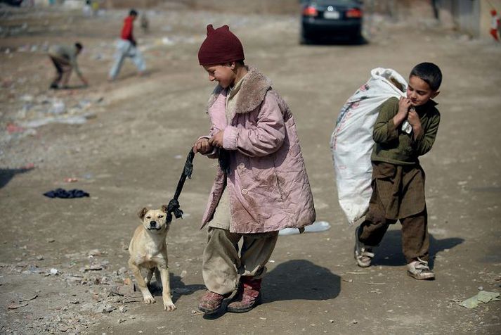 Ungur drengur í borginni Rawalpindi í Pakistan leikur sér við hundinn sinn á meðan vinur hans burðast með poka. Um 62% íbúa Pakistans búa í þéttbýli, þar af stór hluti við sárafátækt. Nordicphotos/AFP