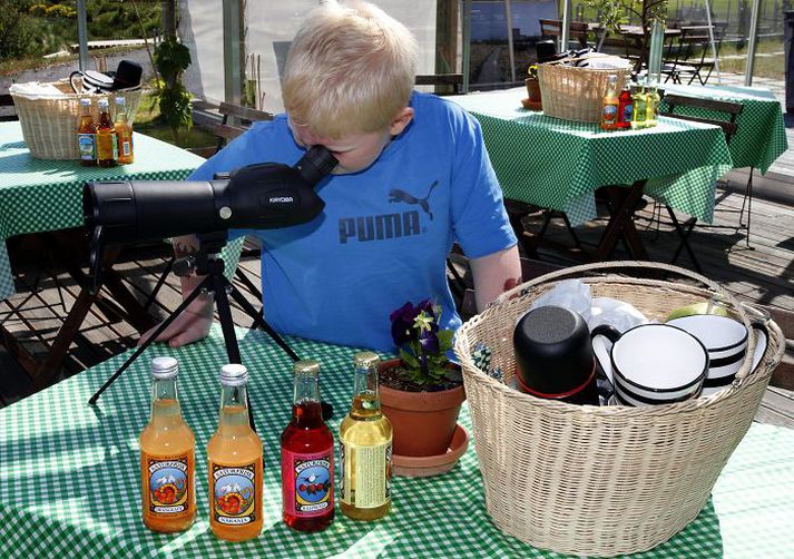 Í gróðurhúsi Norræna hússins má skoða fugla með kíki.