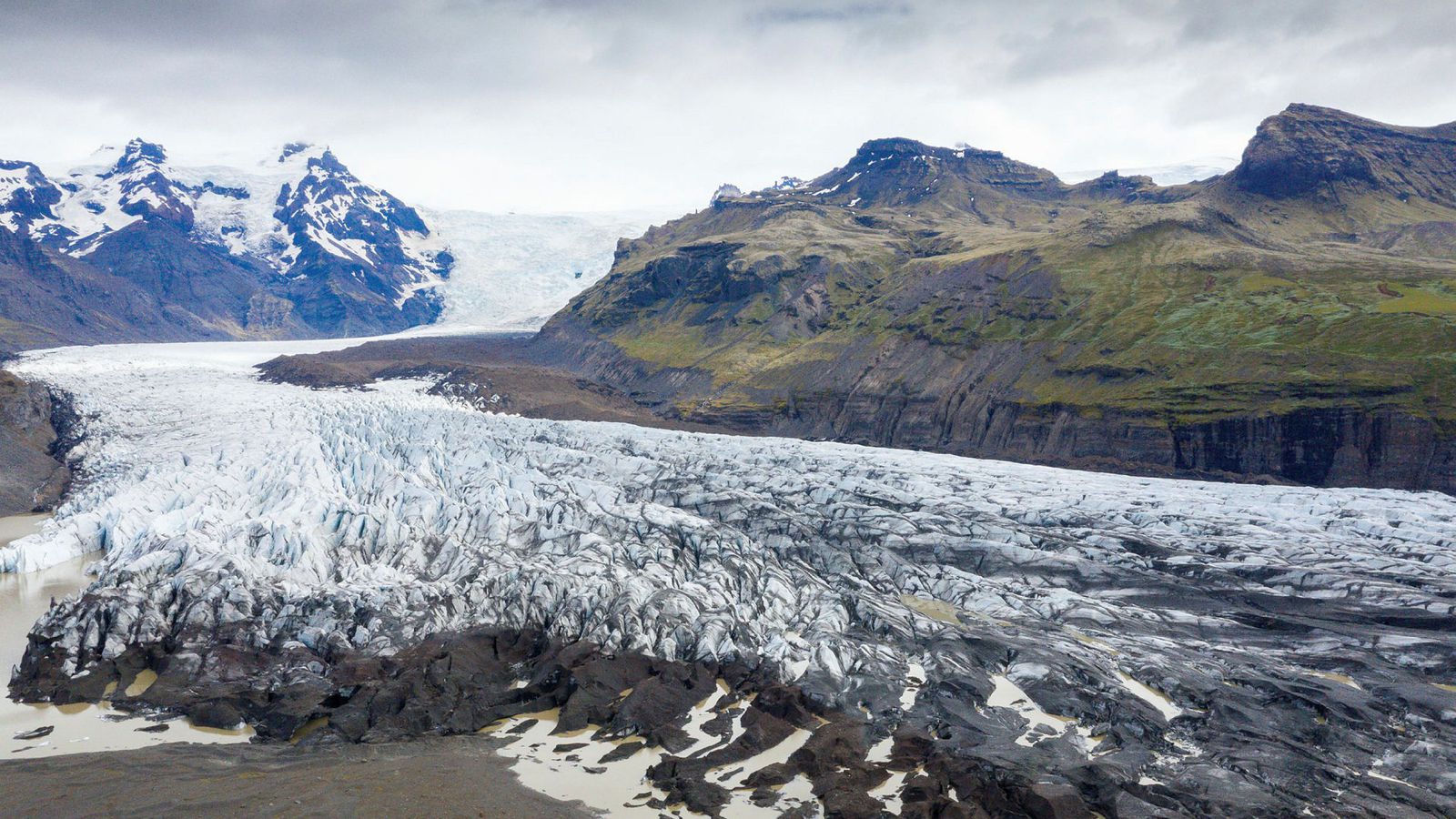 Elita jinsiy aloqa video