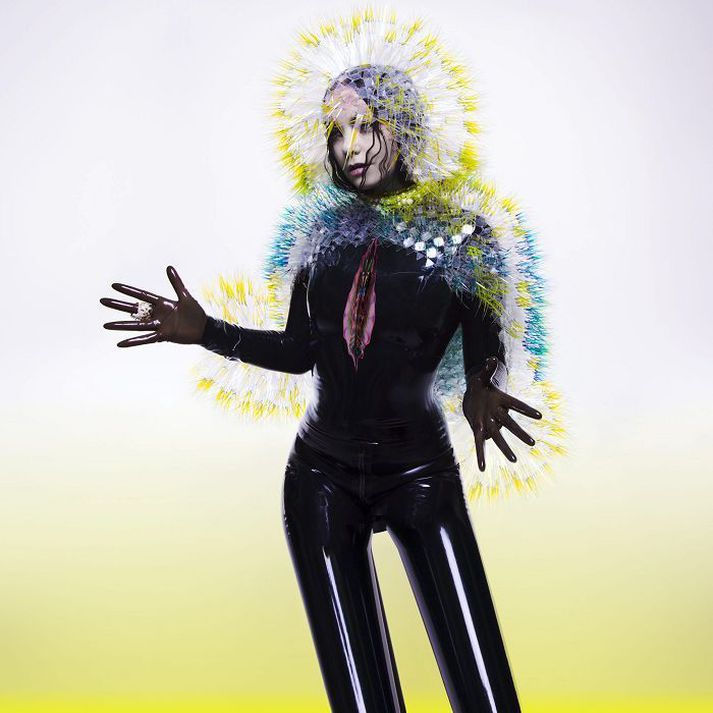 Björk gaf nýlega út plötuna Vulnicura.