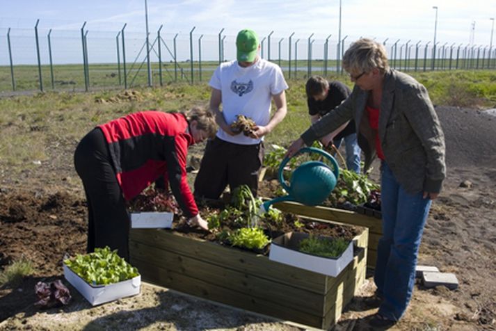 Aðstaðan innan girðingar er hin myndarlegasta og áhuginn klárlega til staðar.