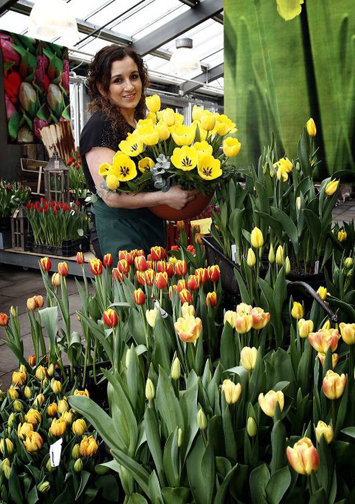 Díana Allansdóttir sérfræðingur í túlipönum og fleiri blómum í miðju túlipanahafinu á sýningunni í Blómavali.
