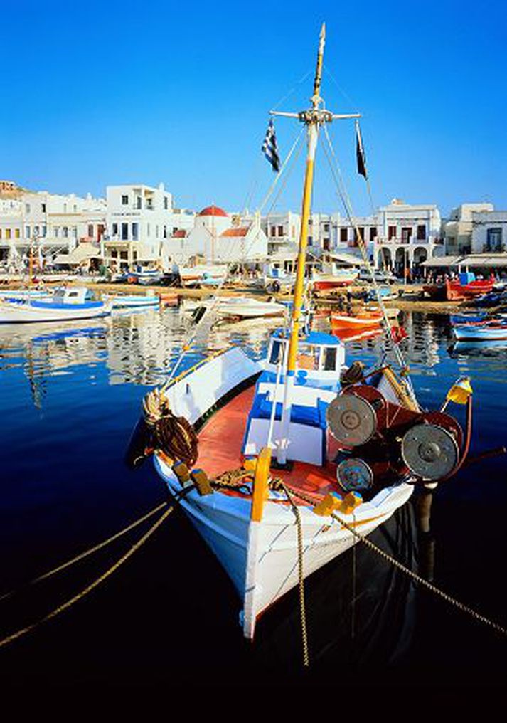 Evrópusambandið hefur sett ný viðmið í umhverfismálum tengdum verndun sjávar.
nordicphotos/getty