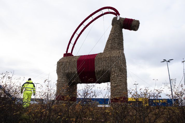 IKEA-geithafurinn kominn á lappir í Kauptúni. 