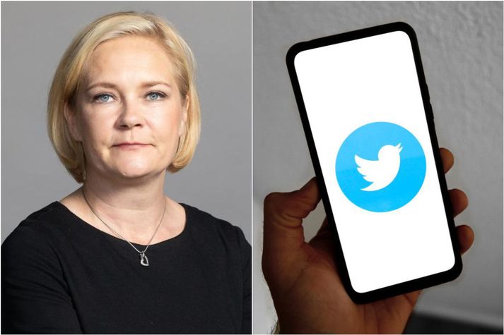 Finnskir fjölmiðlar segja að Mari Rantanen innanríkisráðherra hafi að minnsta kosti þrisvar notað myllumerki um rasíska samsæriskenningu á Twitter. Hún hafi oftar vísað til kenningarinnar óbeint.