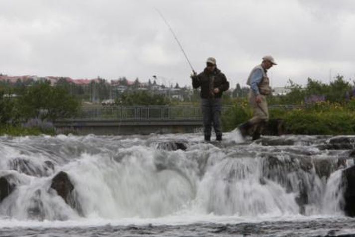 Borgarfulltrúa Vinstri grænna misbýður boðsferðir í Elliðaá.
