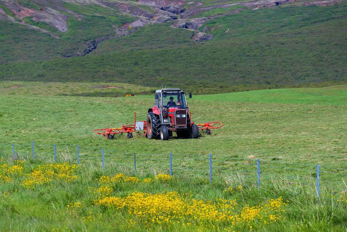 Landbúnaðarráðherra hefur lagt fram frumvarp sem formaður Neytendasamtakanna segir að muni hækka verð á innfluttum landbúnaðarvörum til að hægt verði að hækka einnig verð á innlendum landbúnaðarvörum.