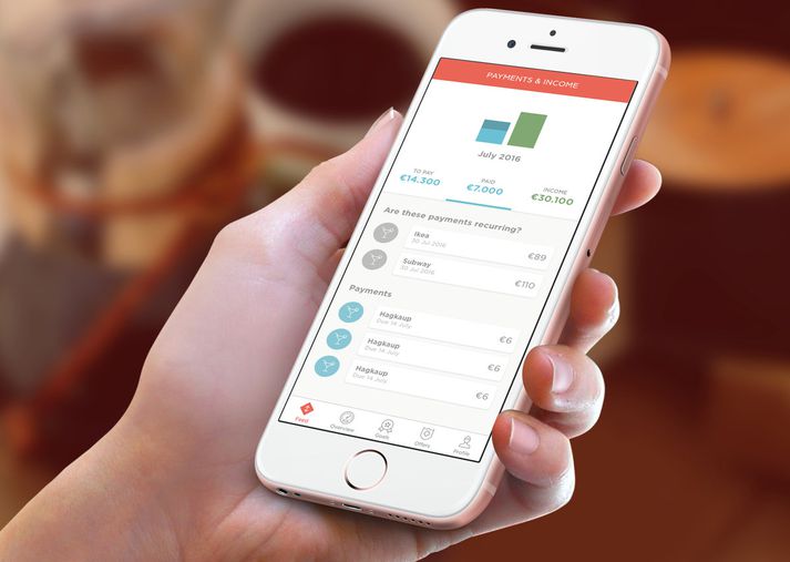 Meniga sérhæfir sig í hugbúnaði sem ætlað er að veita fólki betri yfirsýn yfir fjármálin sín.