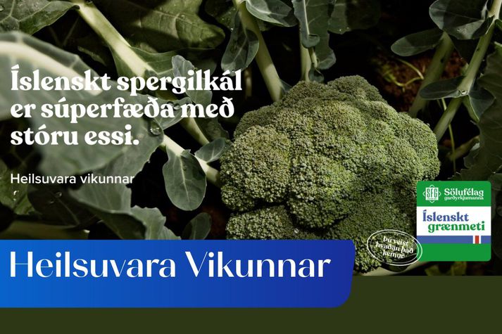Spergil­kál er troðið af fjör- og stein­efnum,