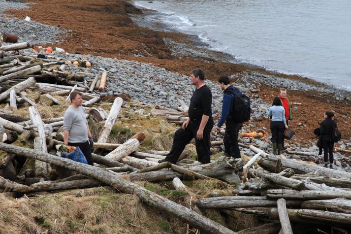 Frá tínslunni í gær.