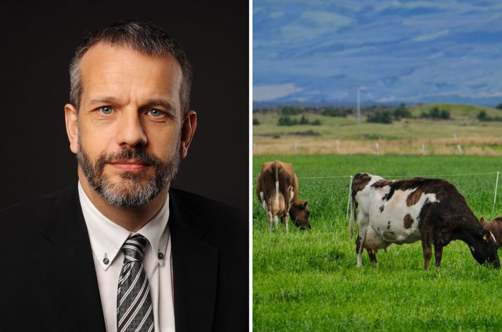 Björgvin segir þetta í fyrsta sinn sem hann selji heila hjörð frekar en jörð. 