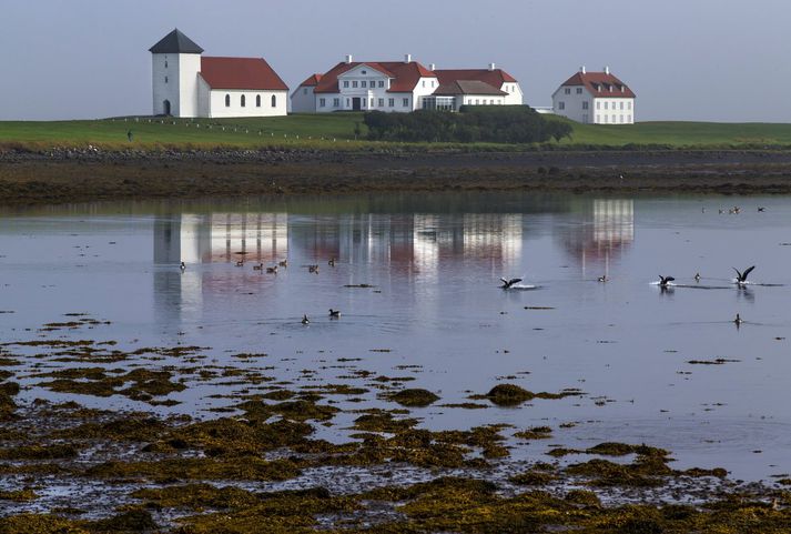 Mikið fuglalíf er á Álftanesi þar sem Bessastaðir eru og hefur nú nýr félagi bæst í hópinn.