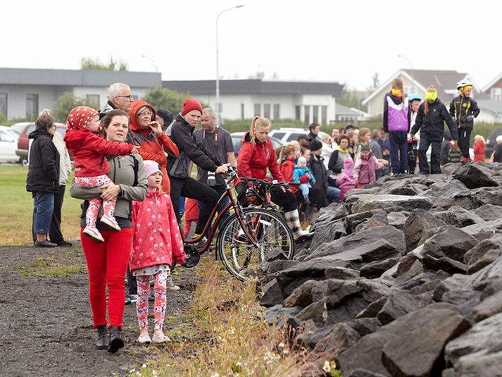 Skagamenn fylgjast með hvölunum.