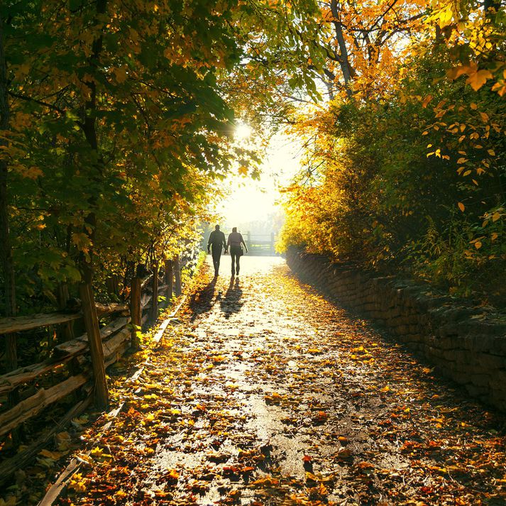 Í dag er útlit fyrir suðvestan 3-8 m/s og það léttir til nokkuð víða um landið.
