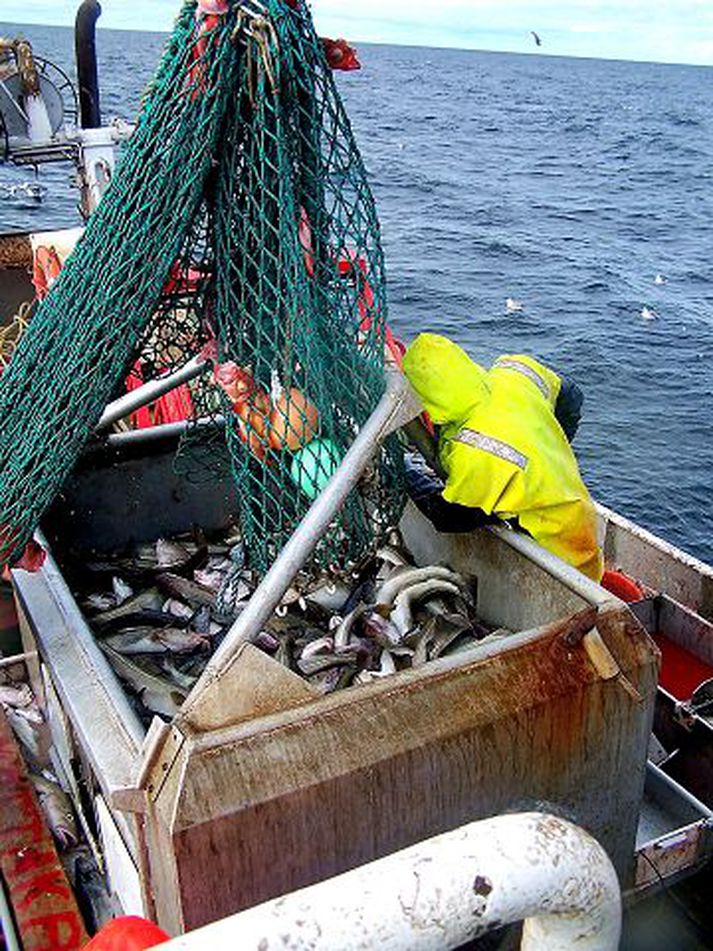 Til sjós Framtakssjóður Íslands, sem er í eigu sextán lífeyrissjóða, á í viðræðum við evrópska fjárfestingarfélagið Triton um sölu á eignarhlut í Icelandic Group. Á meðan ræðir sjóðurinn ekki við aðra fjárfesta.Fréttablaðið/JSE