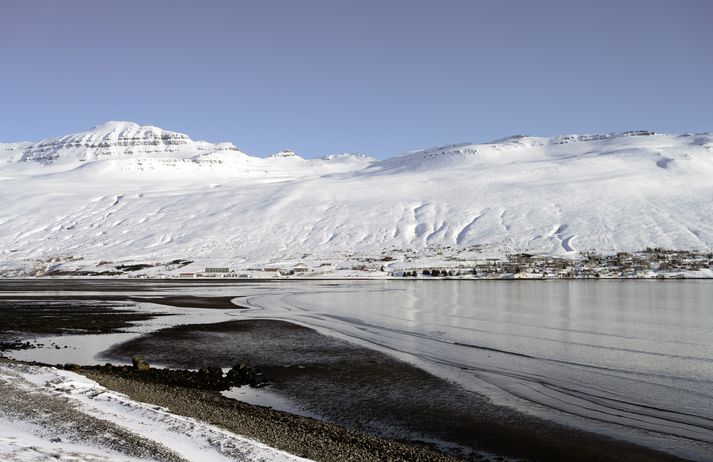 Nokkuð hefur verið um ofanflóð á Austfjörðum síðustu daga.