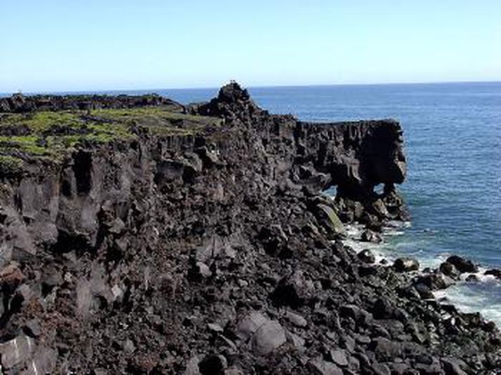 Frá Surtsey.