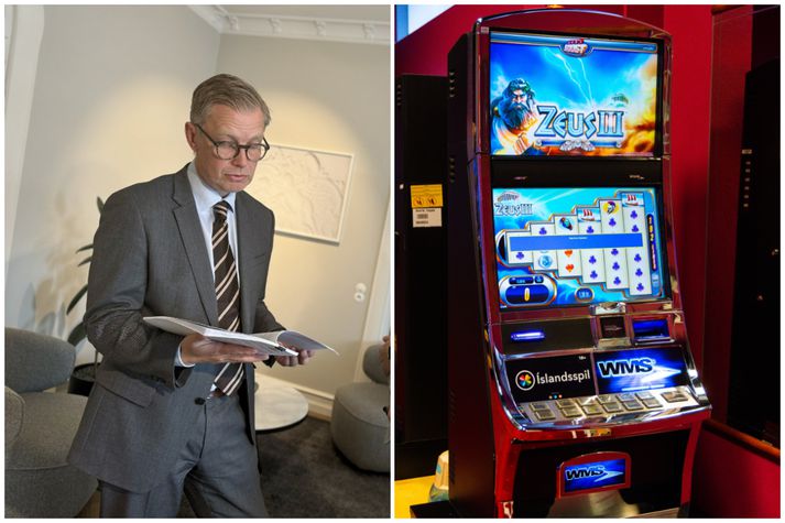 Sigurður Kári Kristjánsson var formaður hópsins.