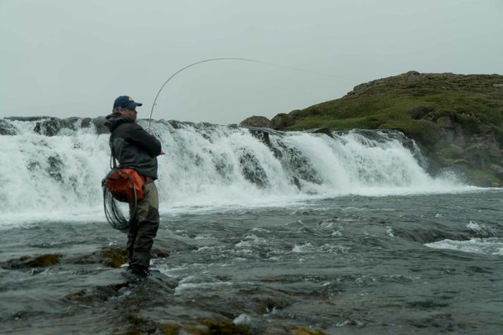 Norðlingafljót er komið til Fish Parnter