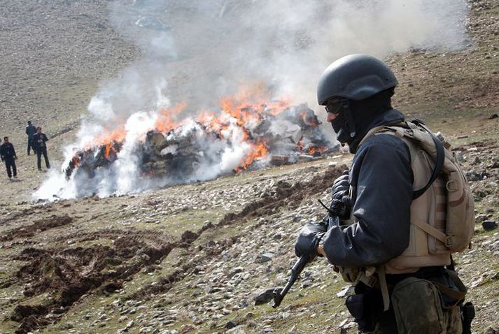 Þrátt fyrir að árum saman hafi uppskerur verið eyðilagðar í Afganistan hefur framleiðsla fíkniefna ekkert dregist saman. nordicphotos/afp