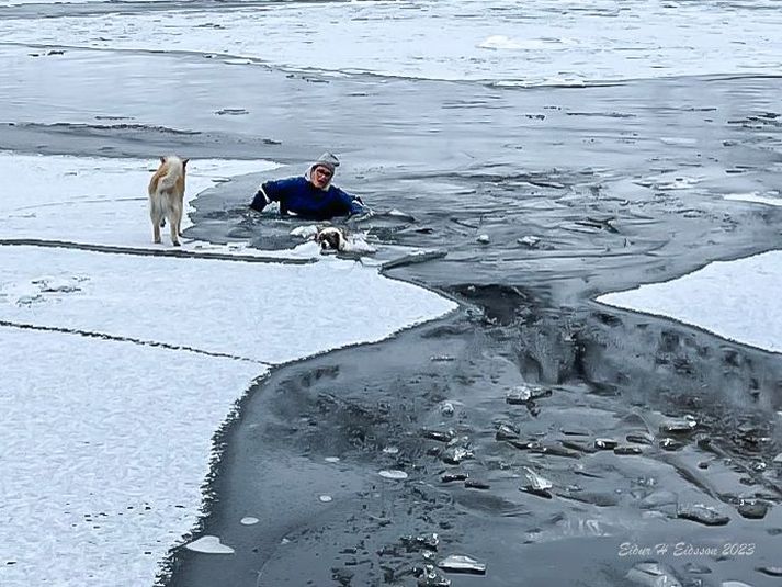 Bergþóra tók það ekki í mál að láta hundana drukkna í ánni.