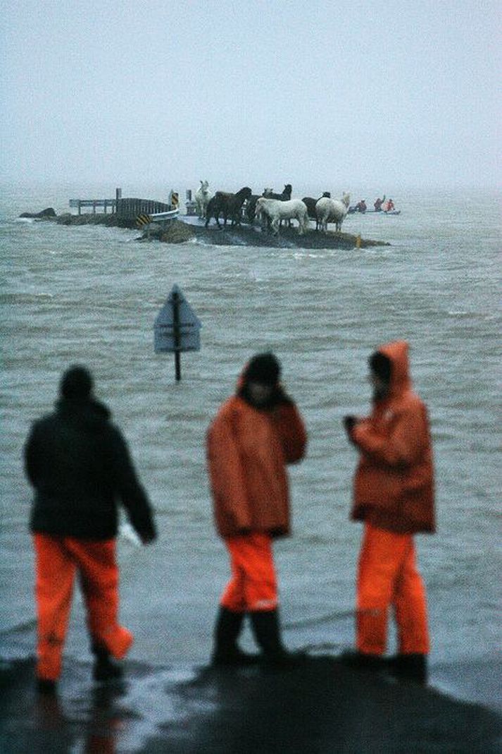Svona var ástandið við Auðsholt í Hvítárflóði 2006. Flóðahætta gæti orðið í leysingum um helgina.