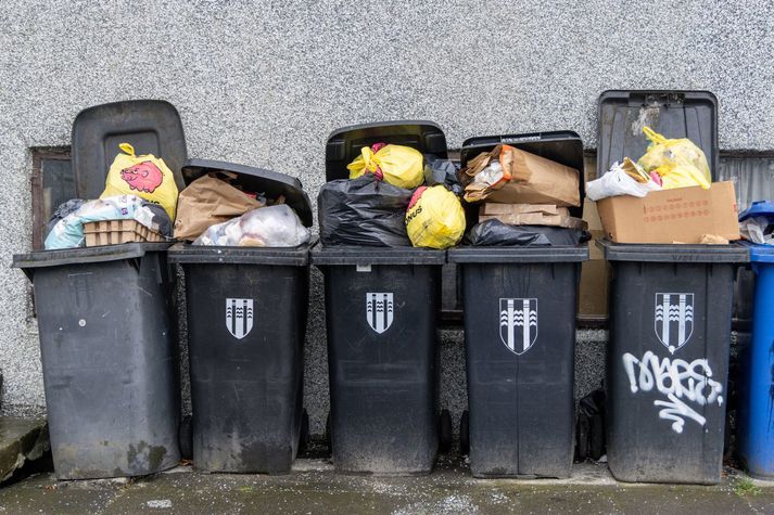 Tunnur af þessari stærð verða margar hverjar tvískiptar í nýju flokkunarfyrirkomulagi.