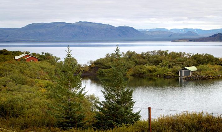 Þingvallavatn.