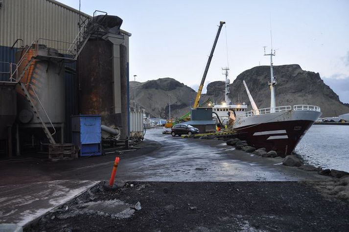 Vestmannaeyingar taka á móti miklu magni til bræðslu árlega.