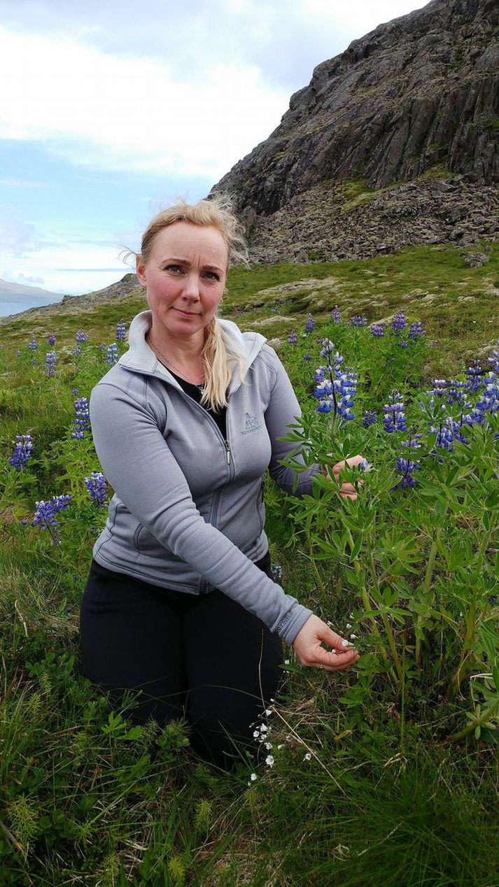 Anna Berg Samúelsdóttir, umhverfisstjóri Fjarðabyggðar, skoðaði lúpínubreiður í friðlandinu á Hólmanesi í gær.