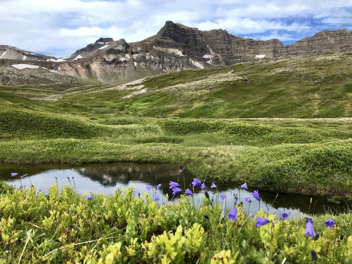 Í Loðmundarskriðum er aragrúi af tjörnum og mikill gróður og fuglalíf.