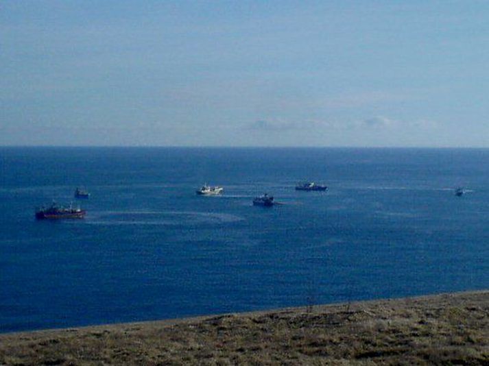 Töluvert veiddist af loðnu við Vestmannaeyjar í gær.